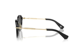 Vedere laterală Burberry BE4429D (411287)