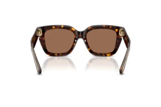 [glasses-back-view] Burberry BE4453 (300273)