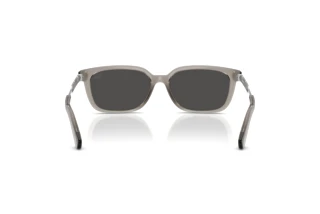 Vedere din spate Burberry BE4481D (419787)