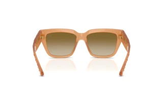 [glasses-back-view] Burberry BE4506U (426613)