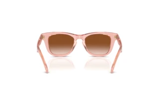 Vedere din spate Burberry JB4002 (421413)