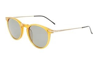 Calvin Klein CK22528TS 729