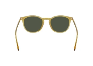 [glasses-back-view] Calvin Klein CK22533S N (729)