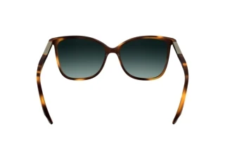 [glasses-back-view] Calvin Klein CK25504S (240)