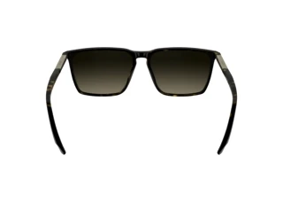 [glasses-back-view] Calvin Klein CK25505S (240)