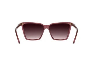 [glasses-back-view] Calvin Klein CK26506S (605)