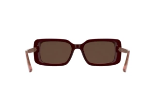 [glasses-back-view] Calvin Klein CK26508S (605)