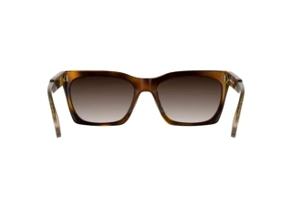 Πίσω όψη Calvin Klein CKJ26606S (235)