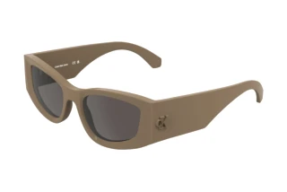 [glasses-front-view] Calvin Klein CKJ26608S (266)