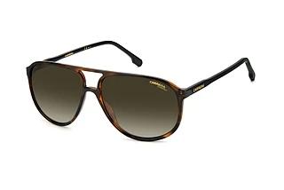 Carrera CARRERA 257/S 086/HA