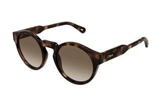 Chloé CH0158S 002 HAVANA