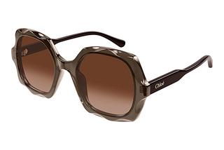 Chloé CH0226S 007