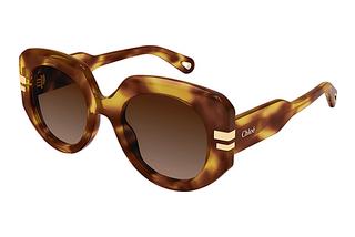 Chloé CH0257S 002 HAVANA