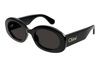 Chloé CH0258S 001