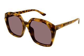 Chloé CH0280S 004