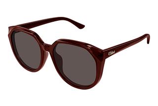 Chloé CH0291SK 002 BROWN