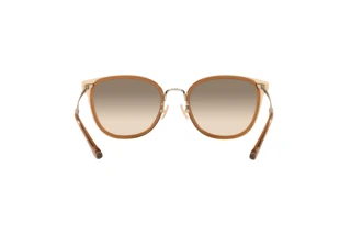 [glasses-back-view] Coach C7999 (HC7135 - 565413)