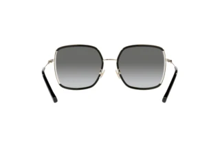 [glasses-back-view] Coach C8000 (HC7139BD - 934611)