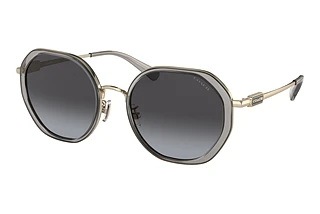 Coach HC7141 90058G Grey GradientTransparent Grey