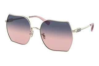 Coach CD476 HC 7142 90050J