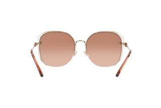 [glasses-back-view] Coach CD453 (HC7145BD - 900513)