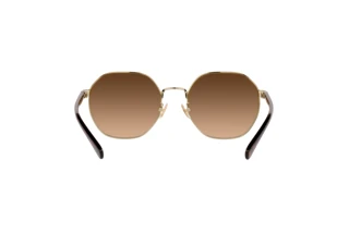 [glasses-back-view] Coach CH556 (HC7147 - 900574)