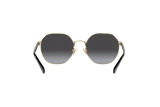 [glasses-back-view] Coach CH556 (HC7147 - 90058G)