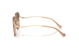 [glasses-side-view] Coach CL905 (HC7157D - 556174)