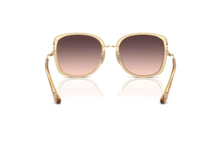 Takaa Coach CL905 (HC7157D - 5736U8)