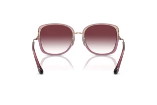 [glasses-back-view] Coach CL905 (HC7157D - 58013P)