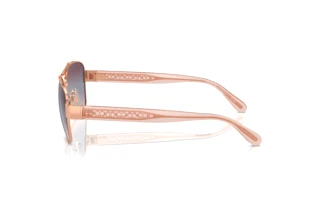 [glasses-side-view] Coach CR617 (HC7161 - 93310J)