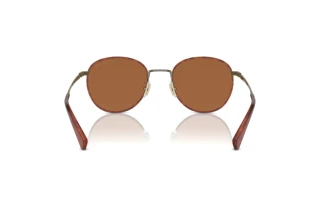 [glasses-back-view] Coach CR631 (HC7163 - 933373)