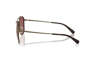 [glasses-side-view] Coach CR626 (HC7164 - 933375)