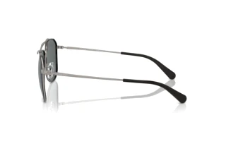 [glasses-side-view] Coach CR626 (HC7164 - 936881)