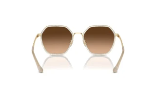 [glasses-back-view] Coach CS543 (HC7167B - 944374)