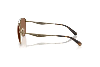 Sivukuva Coach CW404 (HC7172 - 933373)