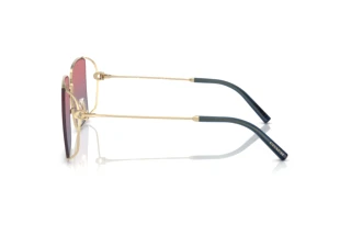 [glasses-side-view] Coach CW429 (HC7174D - 90050Q)