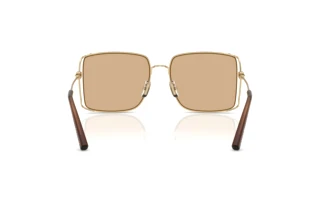 [glasses-back-view] Coach CW429 (HC7174D - 90058)