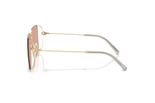 [glasses-side-view] Coach CW429 (HC7174D - 900584)