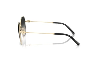 [glasses-side-view] Coach CAD79 (HC7175 - 90053C)