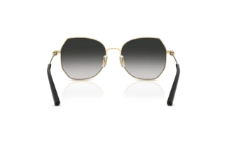 [glasses-back-view] Coach CAD79 (HC7175 - 90053C)