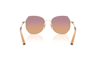 [glasses-back-view] Coach CAD79 (HC7175 - 900578)