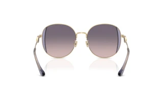 [glasses-back-view] Coach CAD73 (HC7176B - 900536)