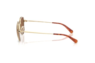 [glasses-side-view] Coach CAE81 (HC7179 - 900573)