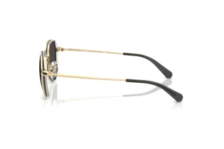 [glasses-side-view] Coach CAE81 (HC7179 - 900587)