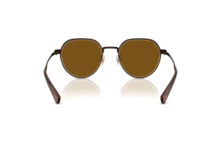 [glasses-back-view] Coach CAE81 (HC7179 - 947183)