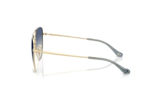 Vedere laterală Coach CBZ89 (HC7182 - 90054L)