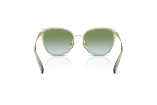 [glasses-back-view] Coach CDP56 (HC7187 - 9486I7)