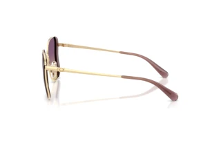 [glasses-side-view] Coach CDP51 (HC7188 - 900570)