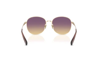 [glasses-back-view] Coach CDP39 (HC7189 - 900570)